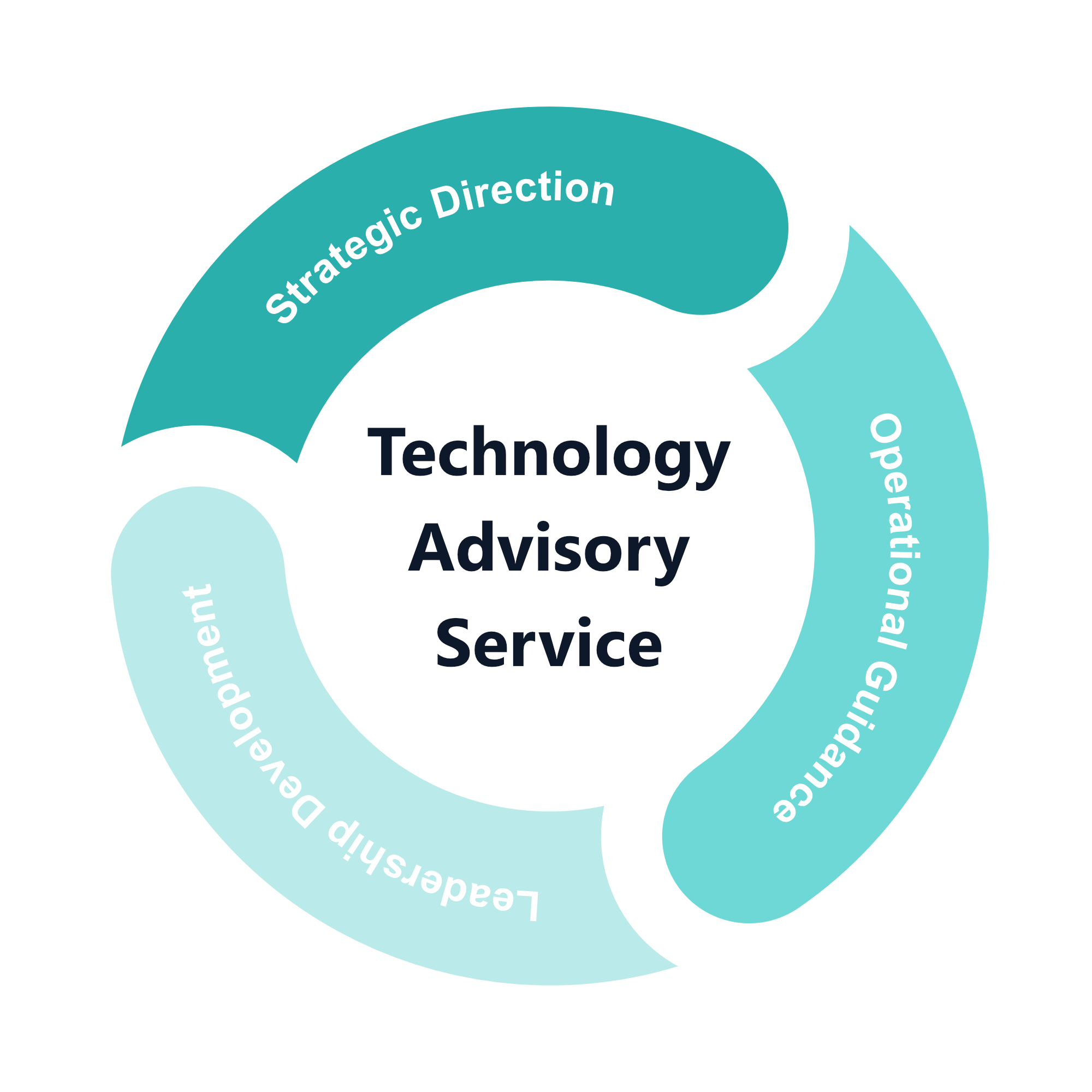 evince Consulting's Technology Advisory Services